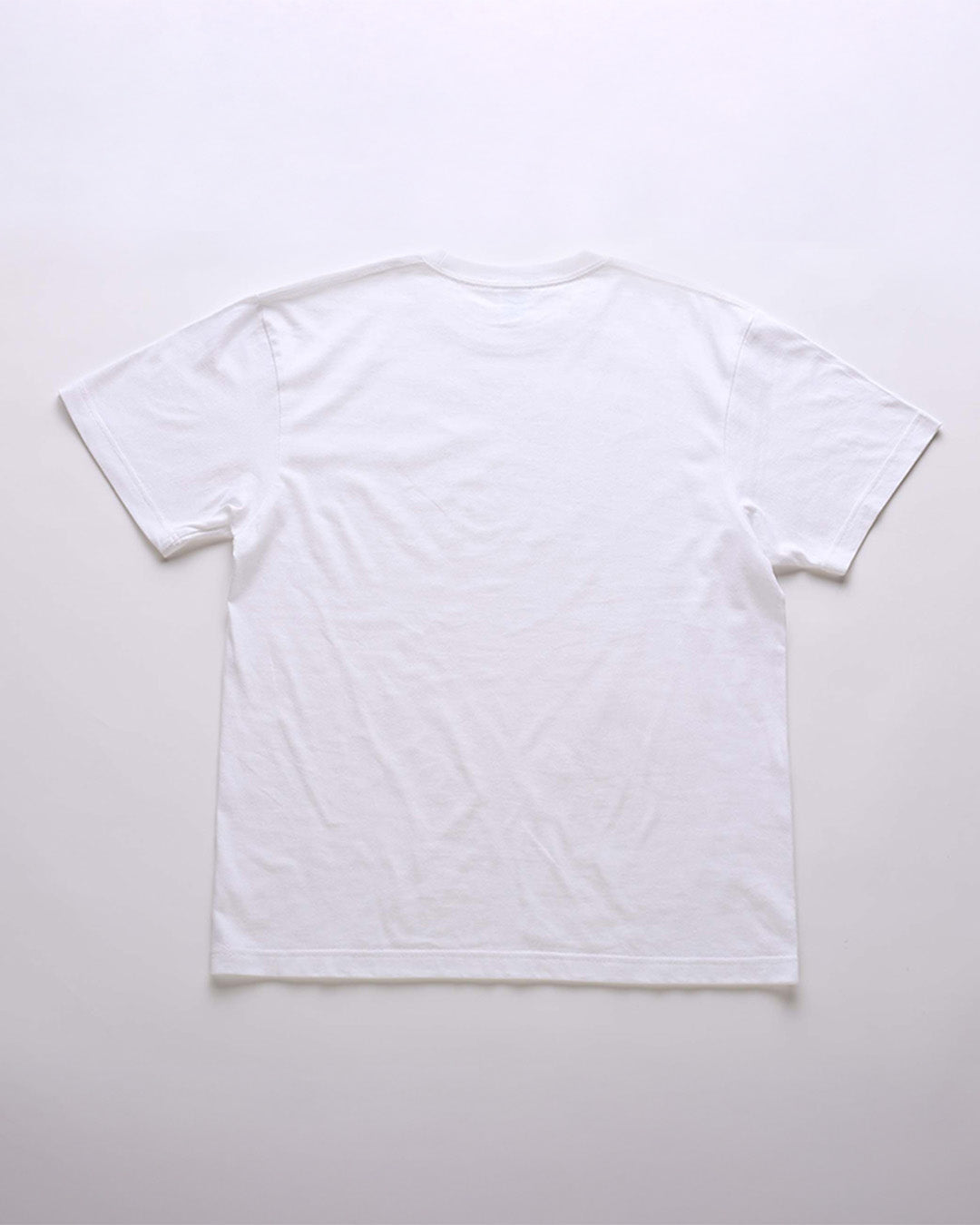 【ミュージアム】Tシャツ
