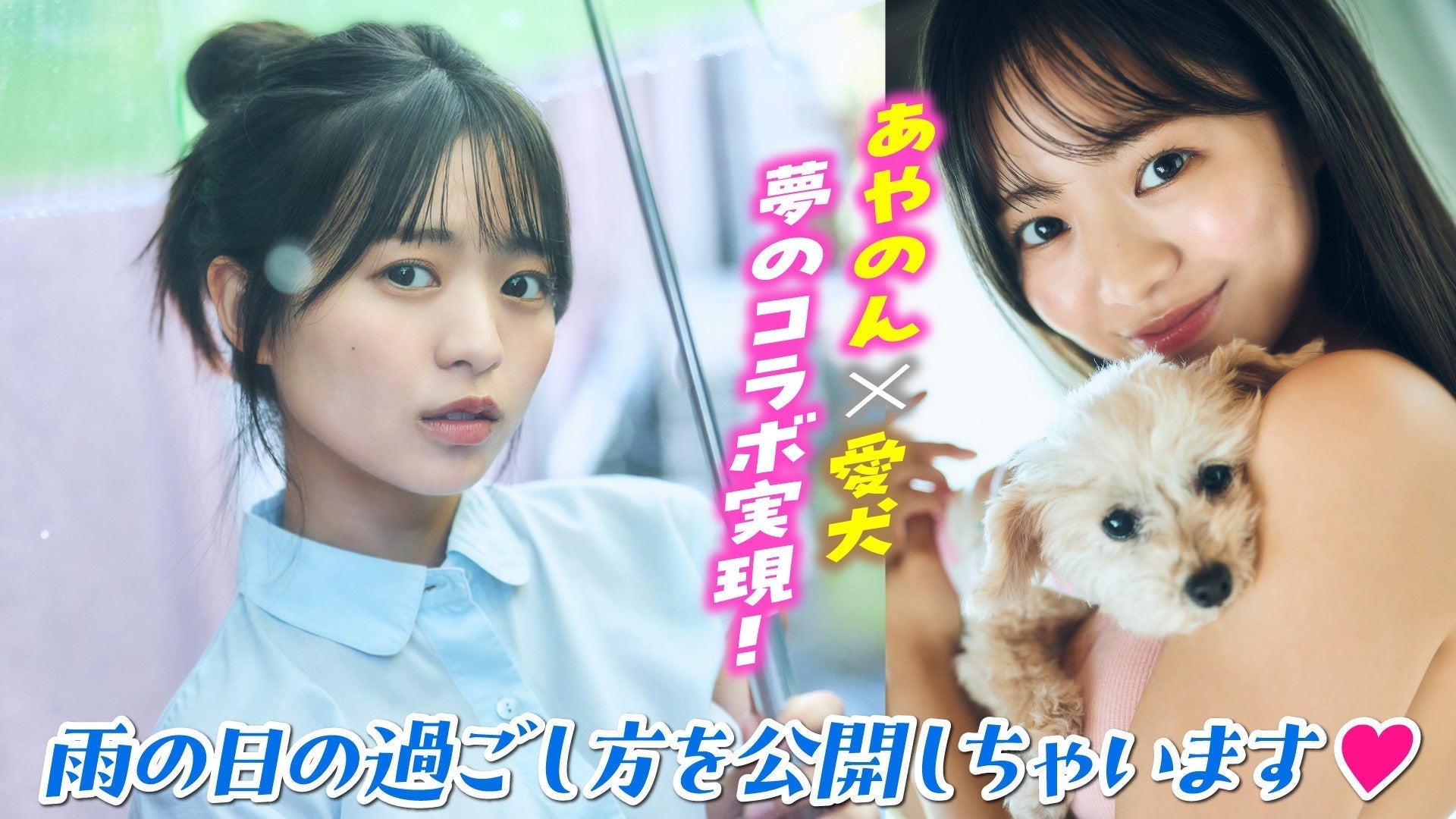 【加藤綾乃】あやのんの夢実現⁉️　愛犬とまったり過ごす雨の日グラビア